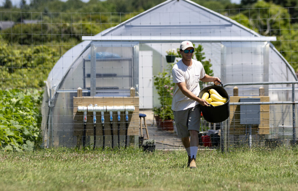 Nick Larrabee carrying summer squash at My Grandfather's Farm