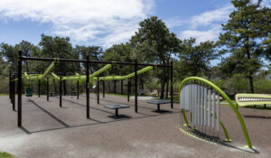 Discovery Playground