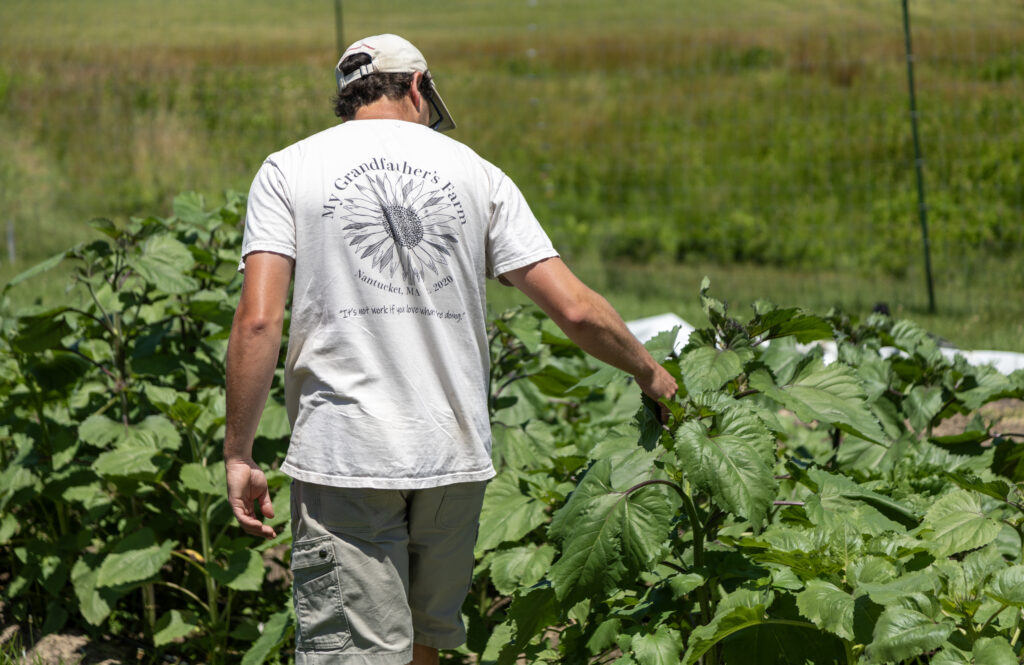 Nick Larrabee at My Grandfather's Farm