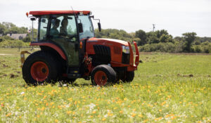 Tractor at My Grandfather's Farm