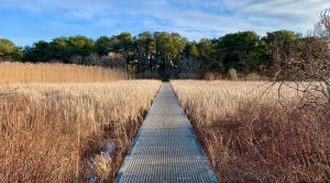 Gardner Farm Boardwalk