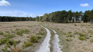 Gardner Farm trail on a sunny day