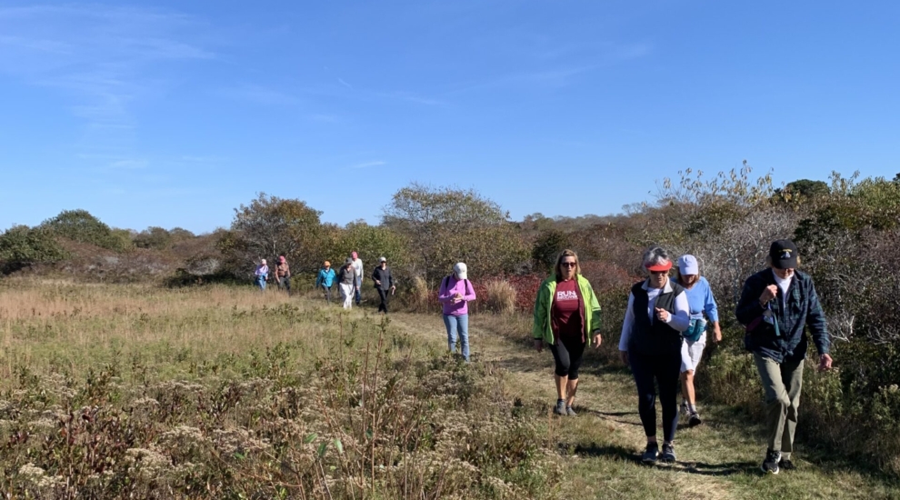 The Coast To Coast Trail Nantucket Land Bank 5224