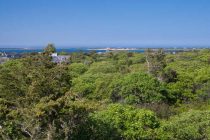 View of the Harbor from Shawkemo Hills