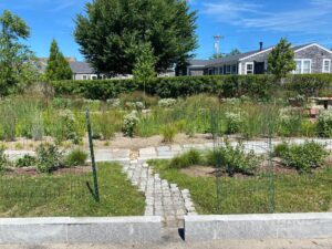 Water path at rain garden