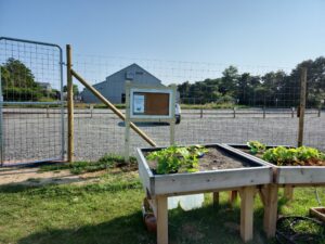 Accessible Garden Bed