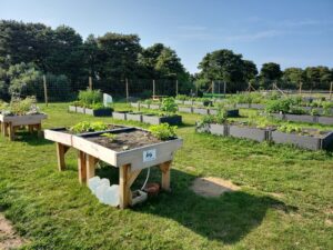 Community Garden Beds