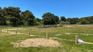 Community Garden in progress