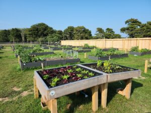 Accessible Garden Bed