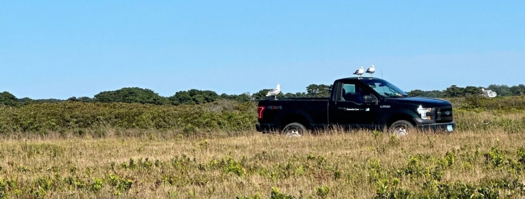 Land Bank Truck