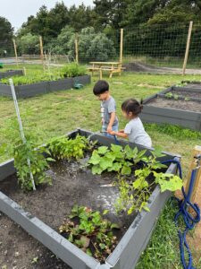 Children at the Community Garden