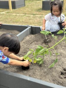 Children planting at community garden